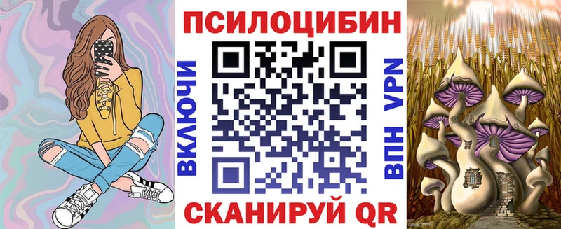 Купить где  Дивногорск  Галлюциногенные грибы Psilocybine cubensis 
